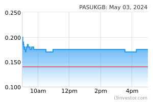 Pasukgb share price